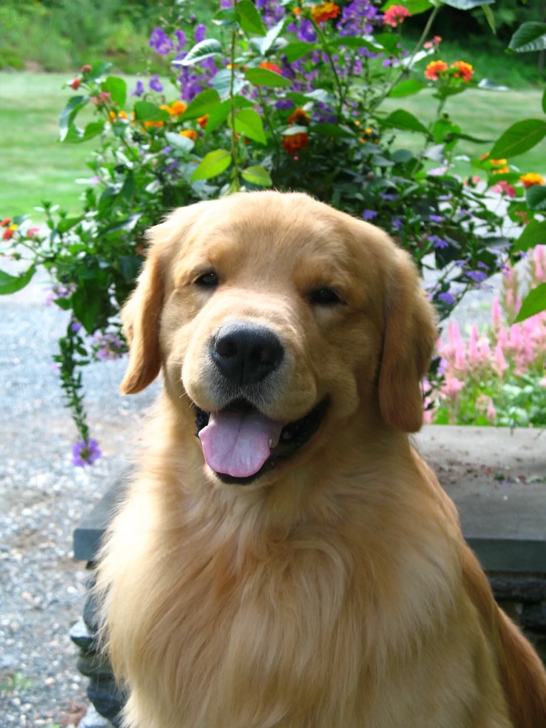 Happy!.webp
