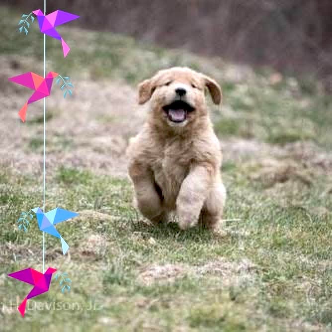 Running.JPG