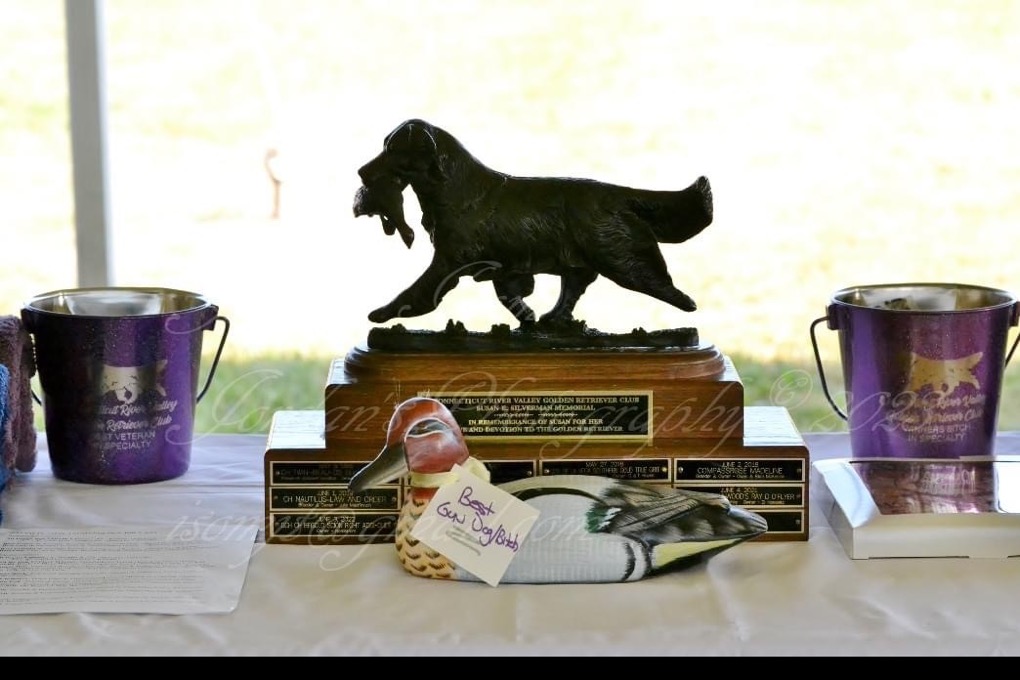 Show Trophy.jpg